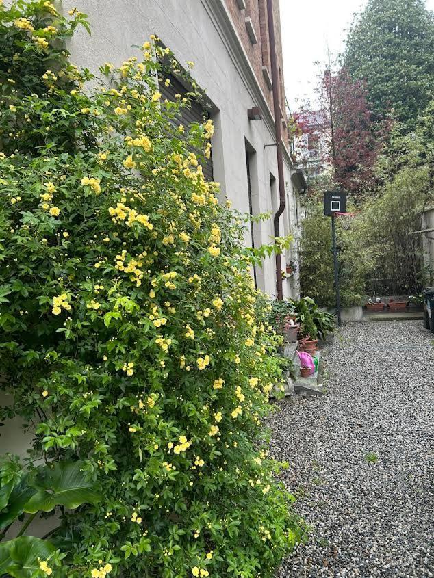 Loft Crimea Con Patio Apartment Turin Bagian luar foto